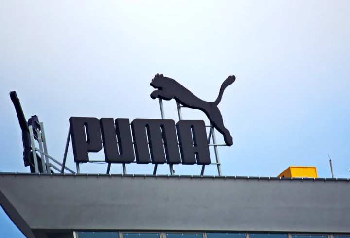   Puma    