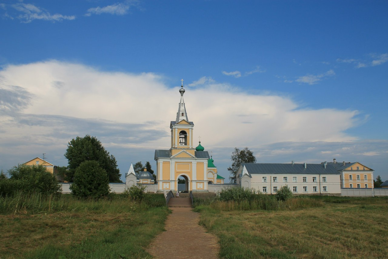 Шелковица в ленинградской области фото