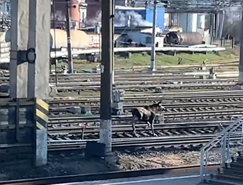 vk.com/podslushano_volhov