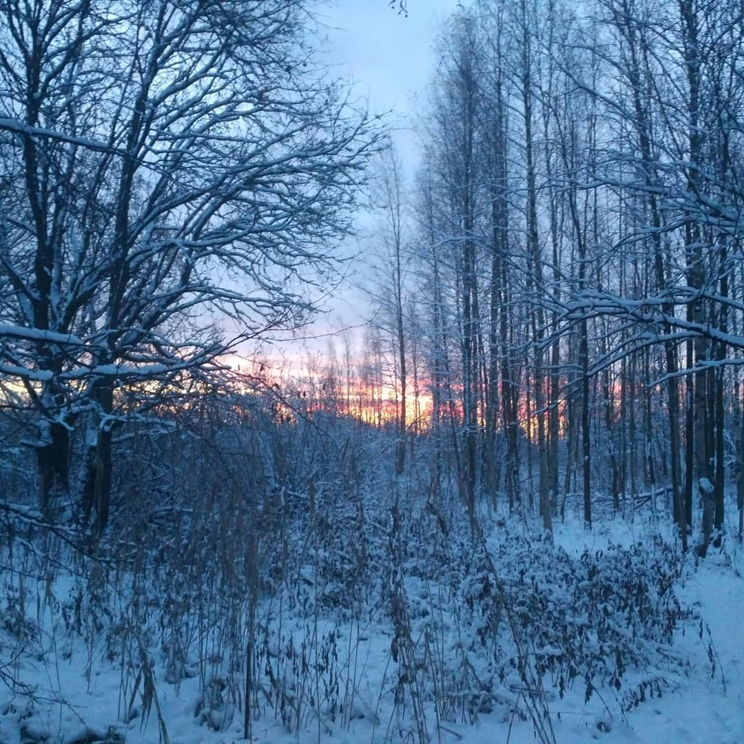 https://www.instagram.com/verenka1988/