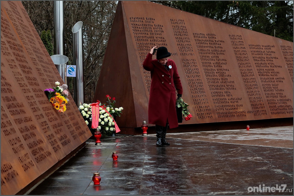 Всеволожск, мемориал "Сад памяти". Траурные мероприятия памяти жертв авиакатастрофы над Синаем