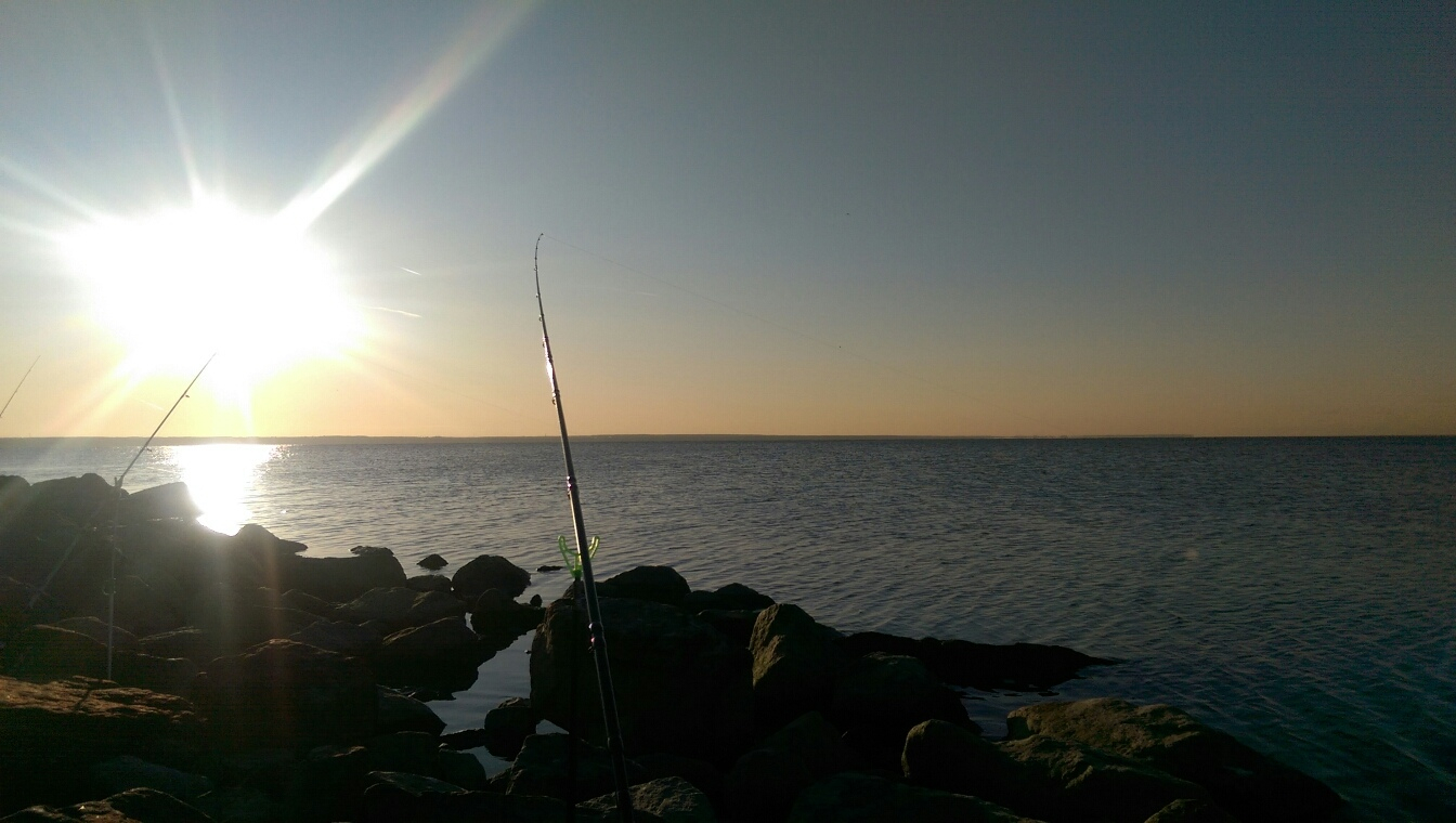 Рыбалка в Ленинградской области: командировки, отдых, рыба, природа
