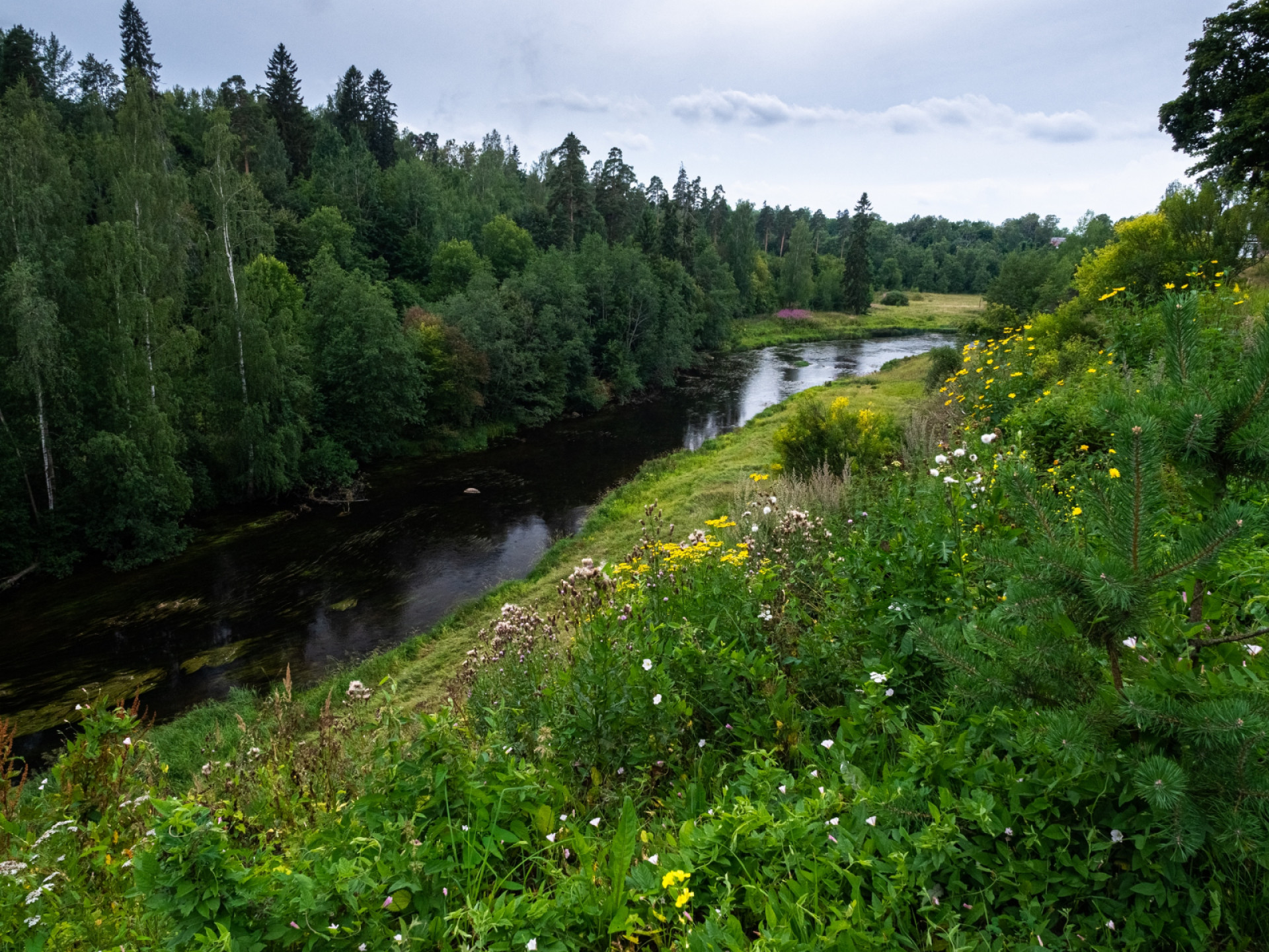 Река оредеж фото ленобласть