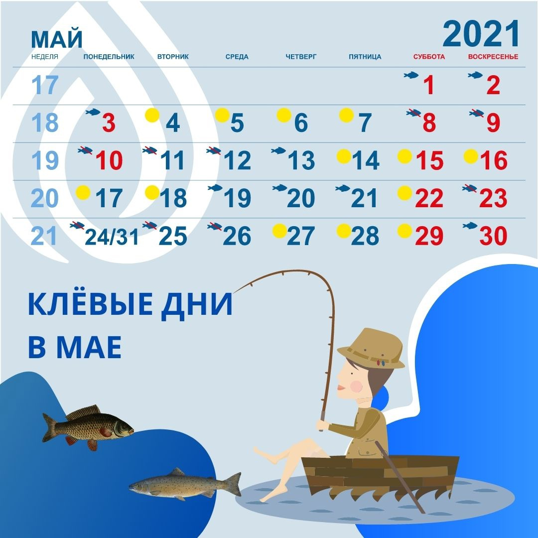 Леноблводоканал» показал календарь клева рыбы на июнь 2021 года |  01.06.2021 | ЛенОбласть - БезФормата