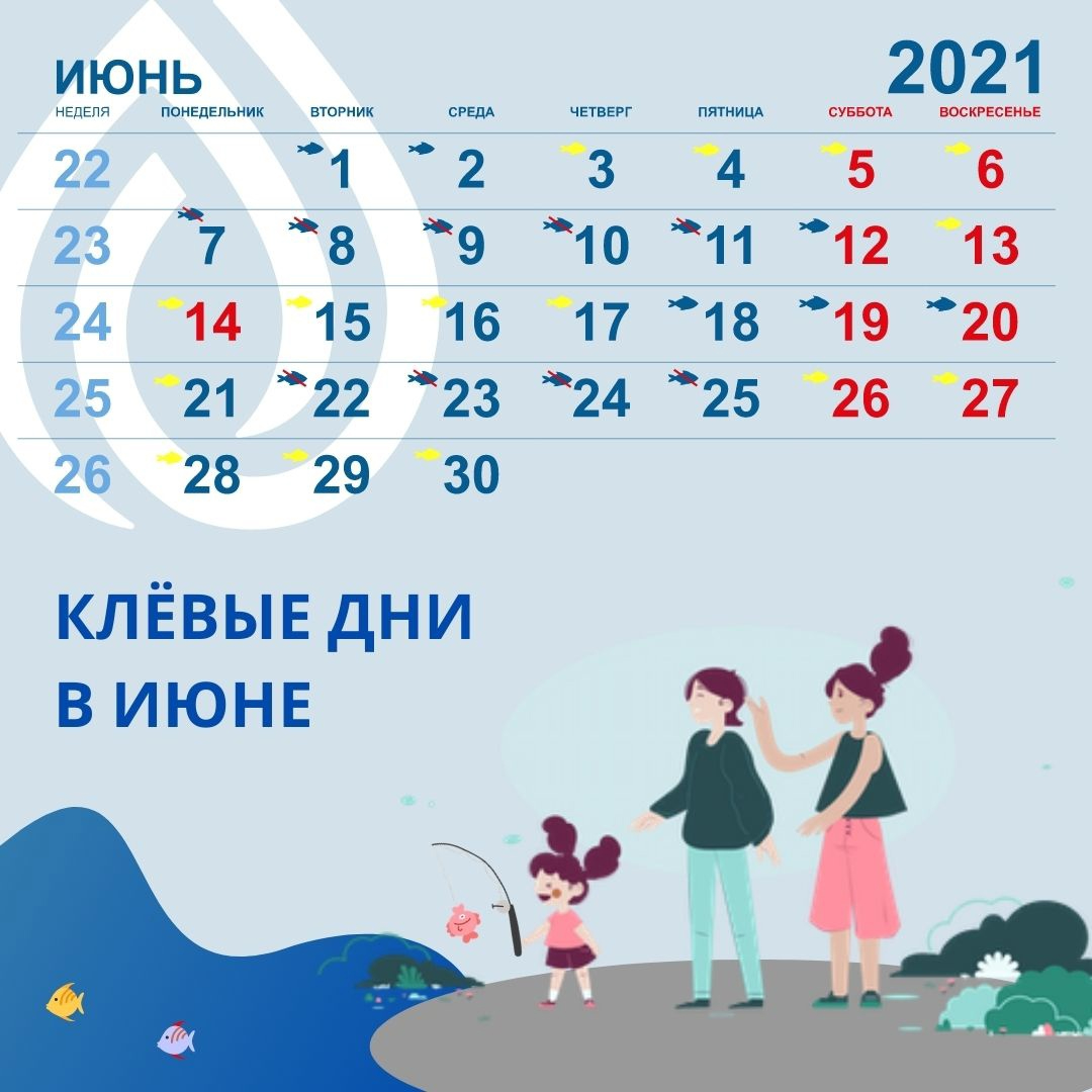 календарь клева рыбы в ленинградской области 2021 река нева. Смотреть фото календарь клева рыбы в ленинградской области 2021 река нева. Смотреть картинку календарь клева рыбы в ленинградской области 2021 река нева. Картинка про календарь клева рыбы в ленинградской области 2021 река нева. Фото календарь клева рыбы в ленинградской области 2021 река нева