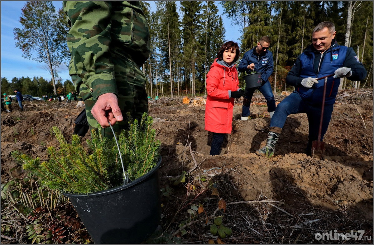 Всероссийская акция «Сохраним лес – 2022»