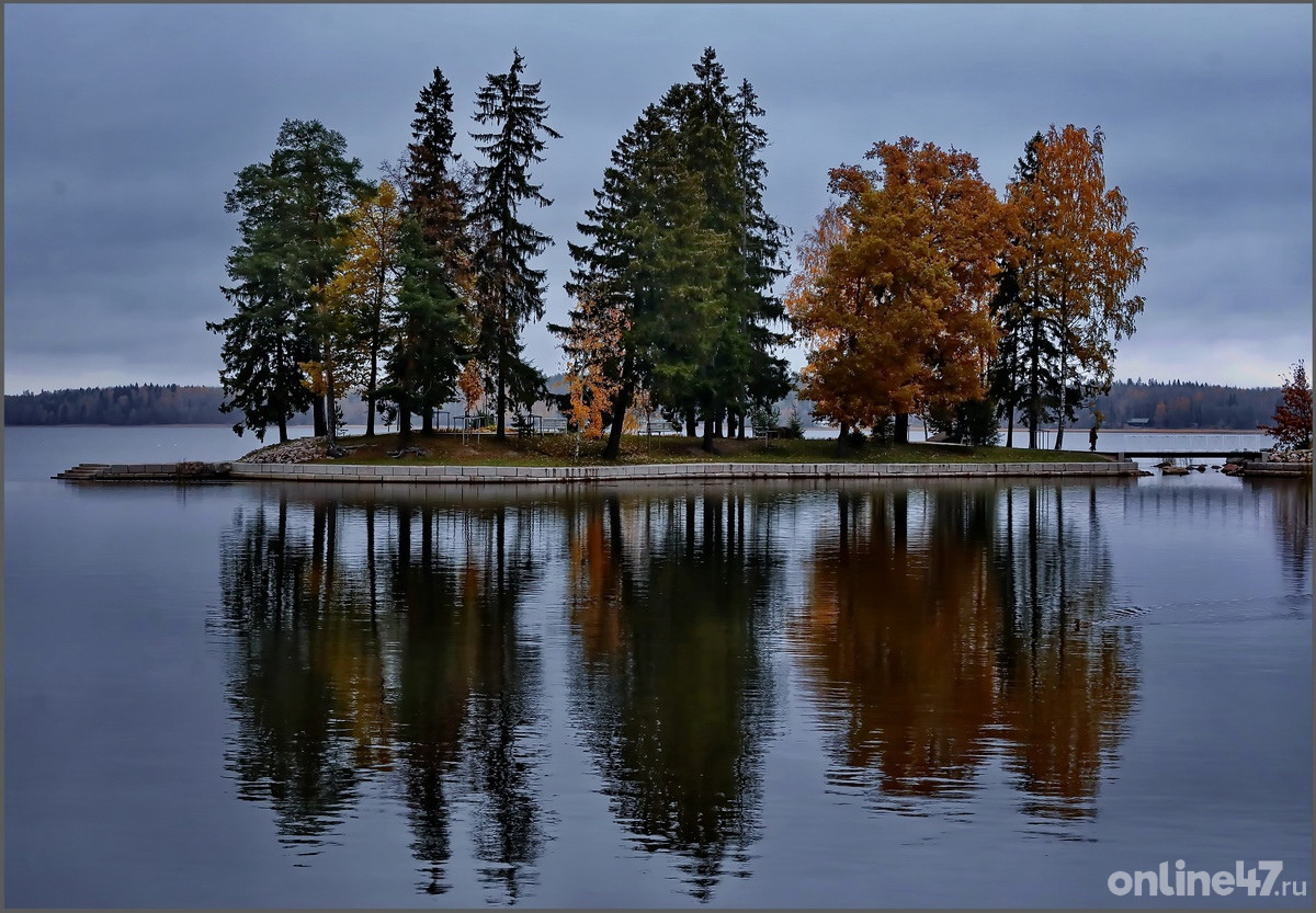 «Золотая осень» в парке Монрепо