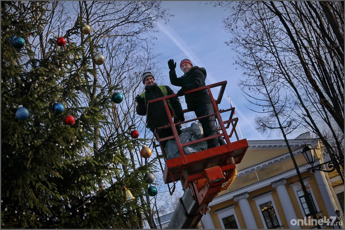Гатчина. Установка новогодней ёлки на площади перед резиденцией губернатора Ленобласти