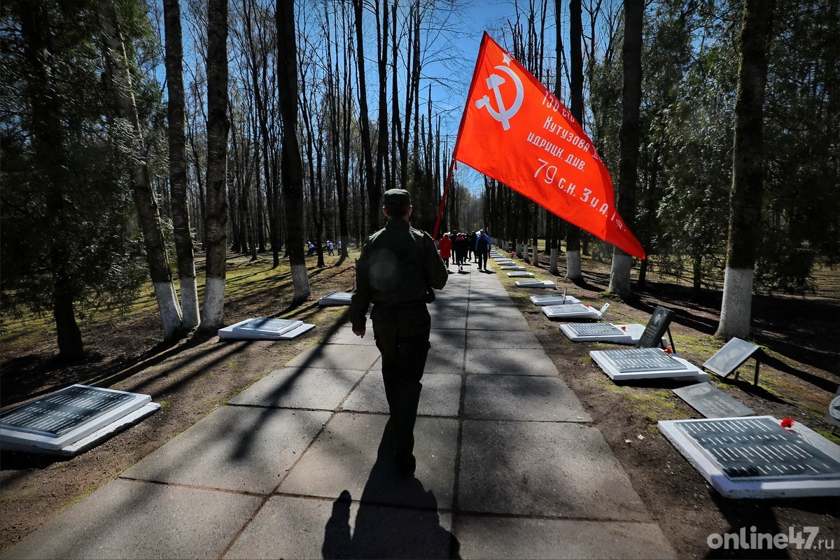 Мемориал «Синявинские высоты» в Кировском районе Ленинградской области