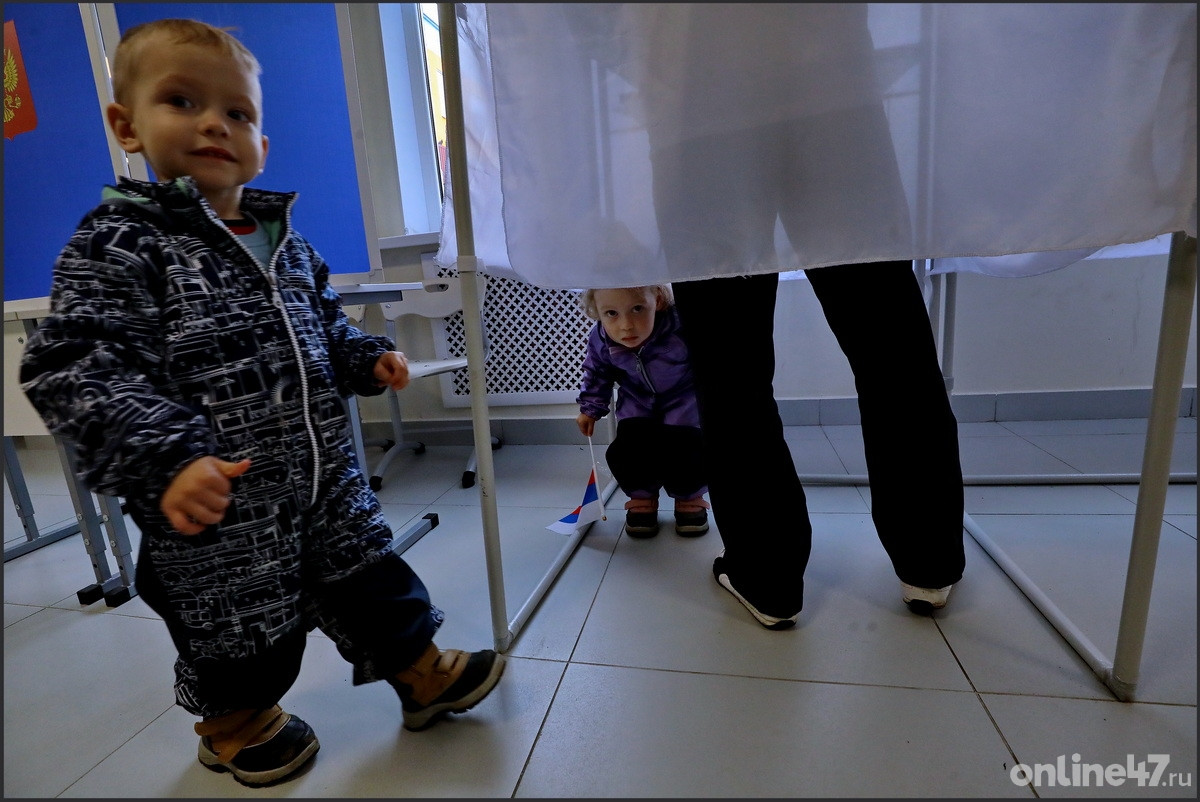 Единый день голосования в Ленобласти