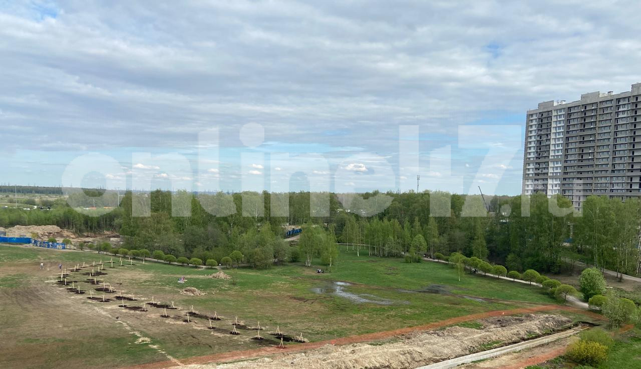 Что строят в парке оккервиль. Смотреть фото Что строят в парке оккервиль. Смотреть картинку Что строят в парке оккервиль. Картинка про Что строят в парке оккервиль. Фото Что строят в парке оккервиль