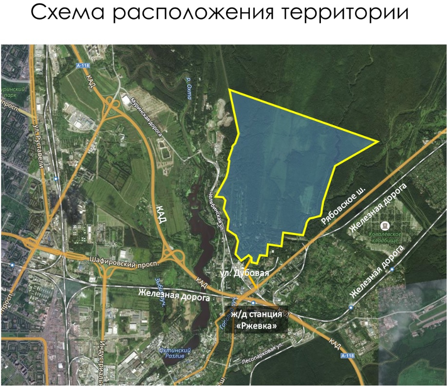 Вариант размещения кампуса СПбГУ рядом с Ржевским полигоном