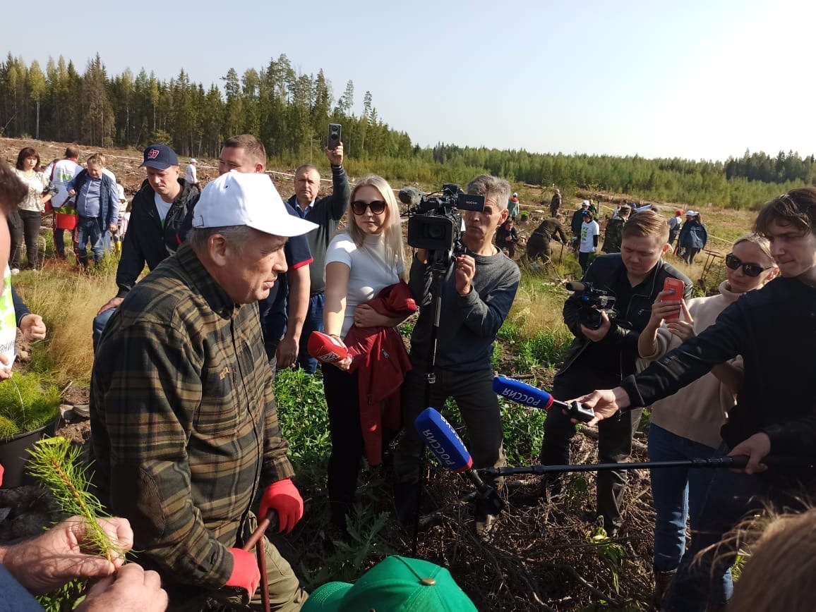 Александр Дрозденко: Ленобласть готовит законопроект о переводе бесхозных  земель под лесовосстановление | 11.09.2021 | ЛенОбласть - БезФормата