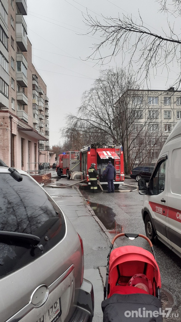 Что горело на ветеранов сегодня. Смотреть фото Что горело на ветеранов сегодня. Смотреть картинку Что горело на ветеранов сегодня. Картинка про Что горело на ветеранов сегодня. Фото Что горело на ветеранов сегодня