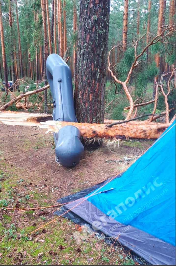 Туристы разбили лагерь продолжить предложение. Сосны упали палатки. Лесной турист. Палатка упавшая. Подарок палатка туризм.