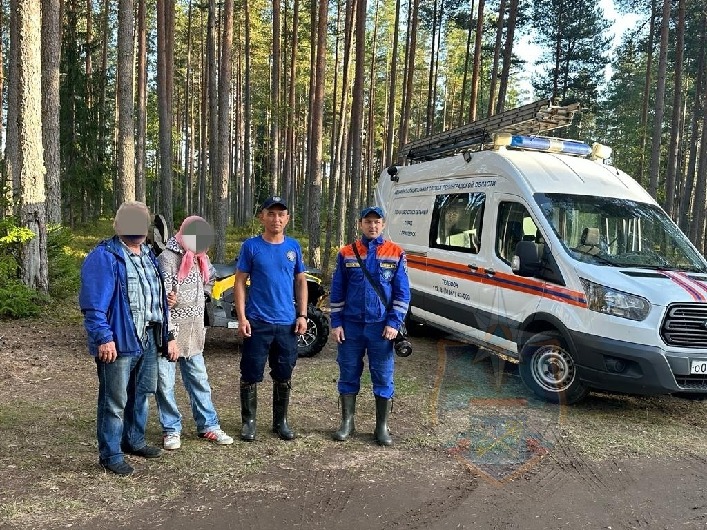 Спасатели вывели из леса под Приозерском заблудившуюся пожилую женщину |  08.09.2023 | ЛенОбласть - БезФормата