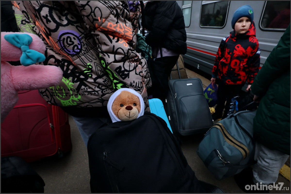 Гатчинский район. Поселок Вырица. Прибытие на отдых в Ленинградскую область детей из Белгорода