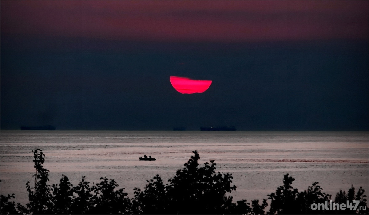 Сосновый Бор. Вид на Финский залив