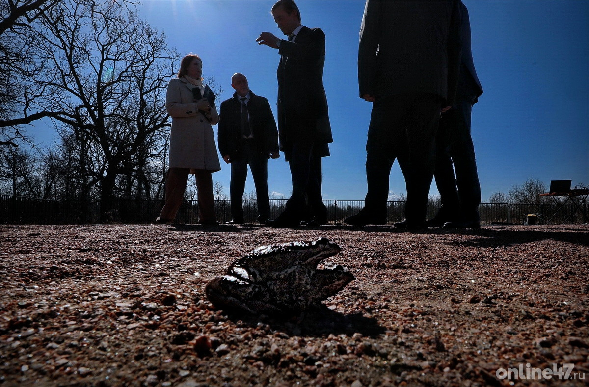 Кировский район. Деревня Сологубовка