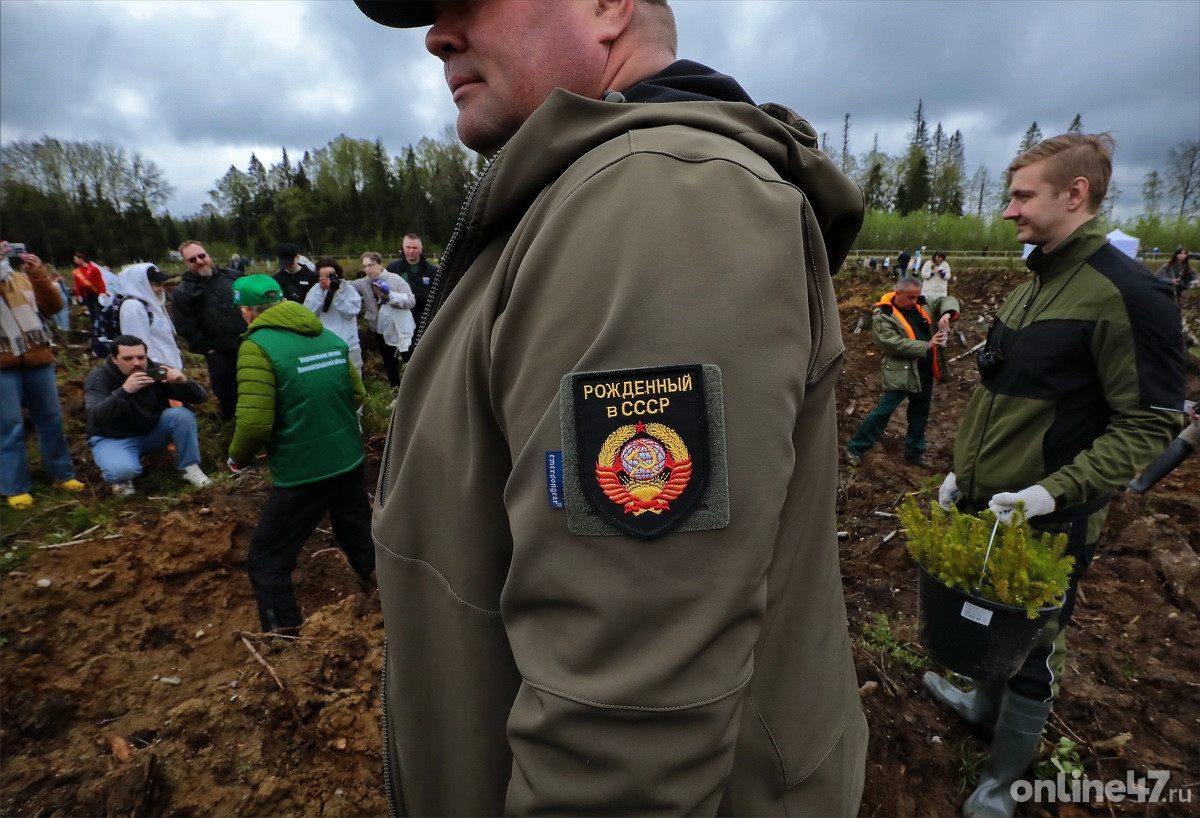 Всеволожское лесничество. Всероссийский день посадки леса