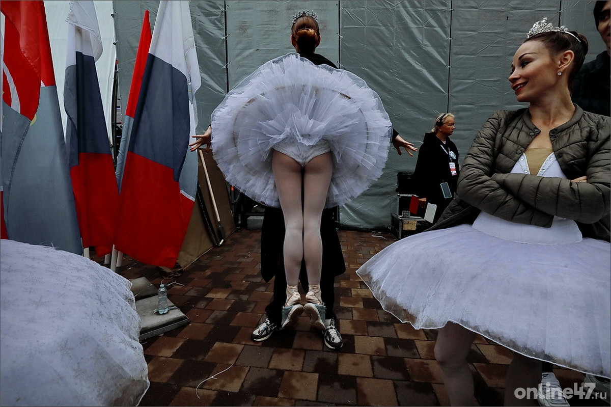 Праздник в честь дня рождения Всеволожского района