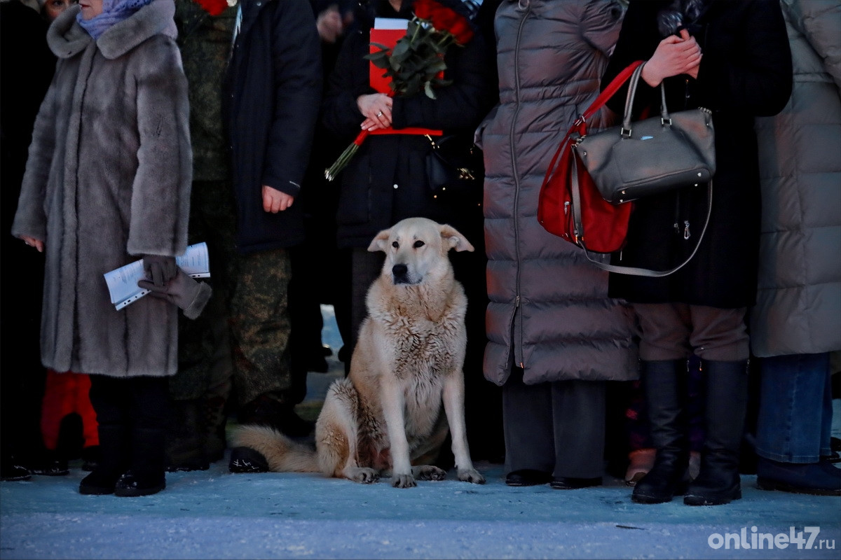 Тихвин. Торжественная церемония зажжения Вечного огня