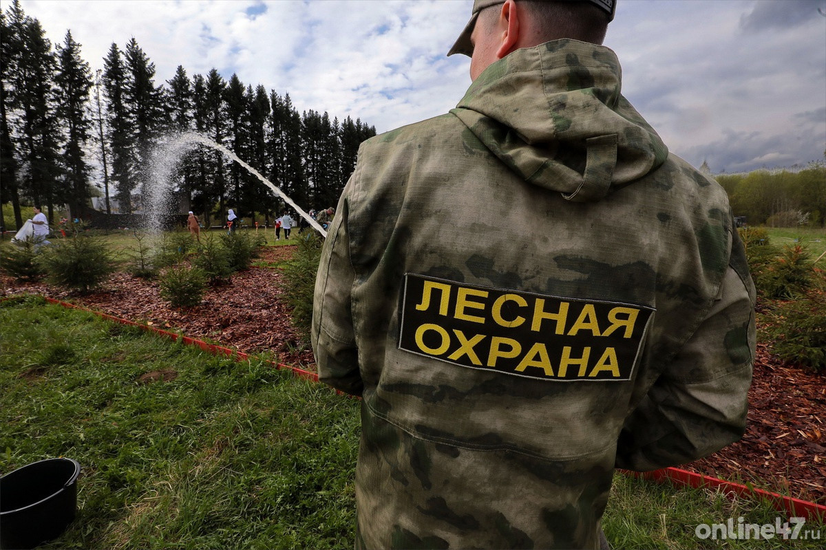 Международная акция «Сад памяти». У мемориала «Невский порог» прошла высадка геоглифа «Победа»