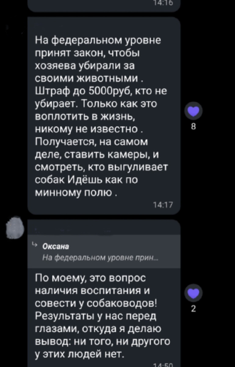 Что за «дятел» там сверлит: как соседи превращают домовой чат в комедию  абсурда | Online47.ru