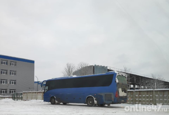 В Кингисеппском районе обнаружили более 30 незаконно ввезенных в Россию автобусов