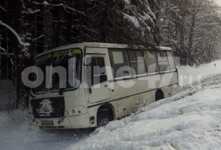 Полиция проводит проверку после ДТП с рейсовыми автобусами в Ленобласти