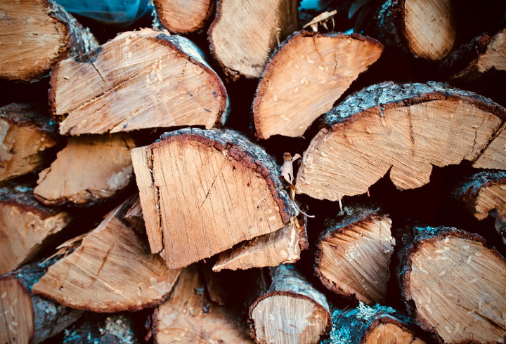 Полиция нашла виновных в незаконной вырубке 400 кубов леса в Киришском районе