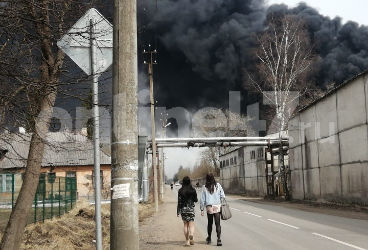 Под Гатчиной загорелся заброшенный завод «Стекольный»