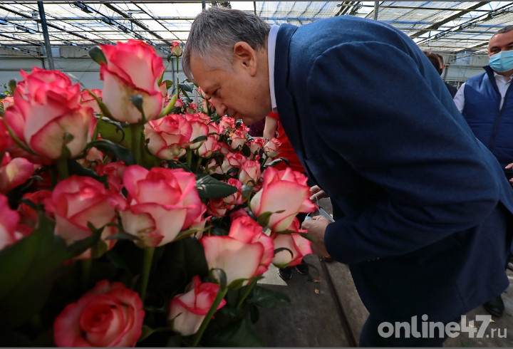 Миллионы роз и хорошее настроение: Как волховская "Новая Голландия" впечатлила губернатора Ленобласти
