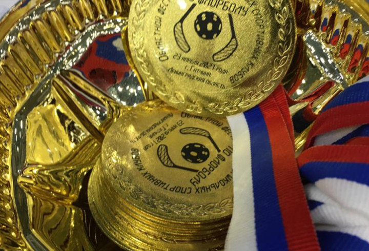 Команды из Кировского и Гатчинского районов стали победителями «Лиги школьного спорта 2020–2021»