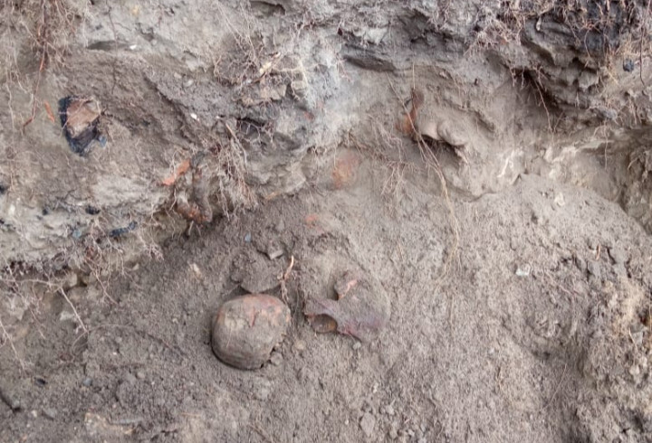 Во время земляных работ в Ивангороде нашли человеческие останки