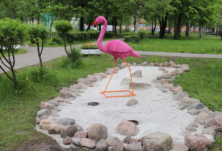 Как сделать маленького розового фламинго своими руками: фото по шагам
