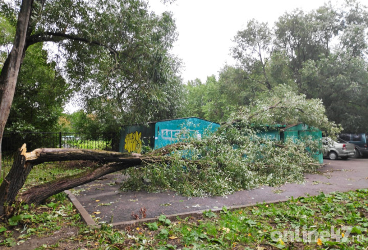 Штормовой ветер в южной части Петербурга сломал и «уложил» дерево на гаражи
