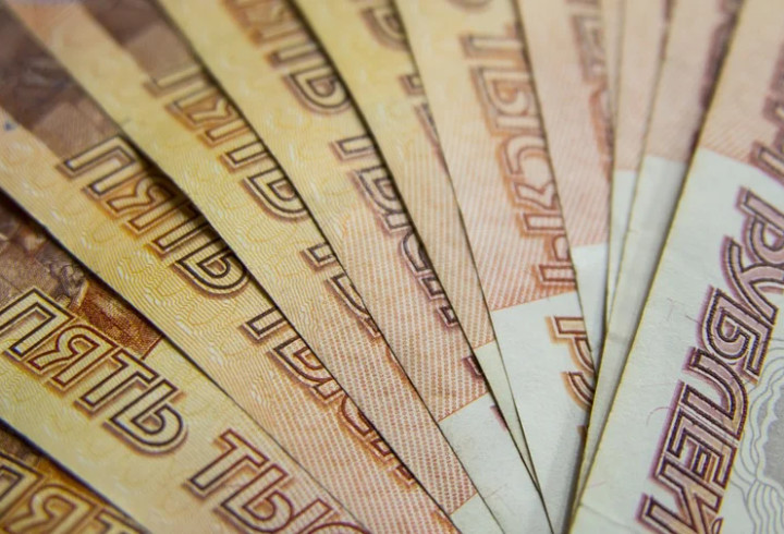 Сельскохозяйственным предприятиям Петербурга направили почти 150 млн рублей субсидий