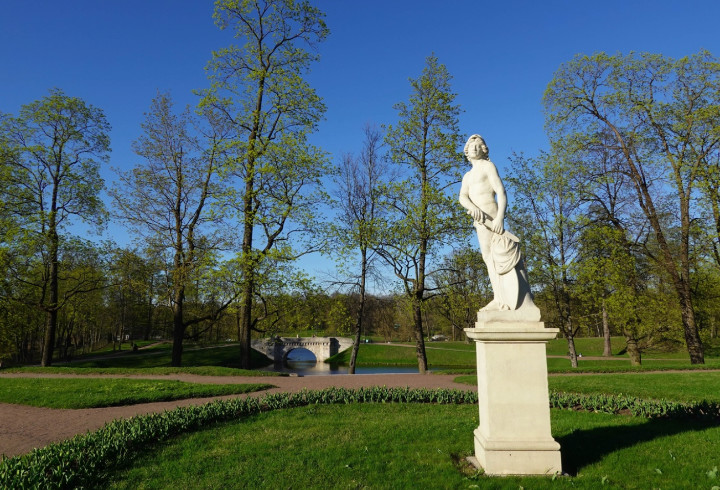 Солнечная весна в парке: сотрудники Гатчинского дворца показали распустившуюся природу в музее