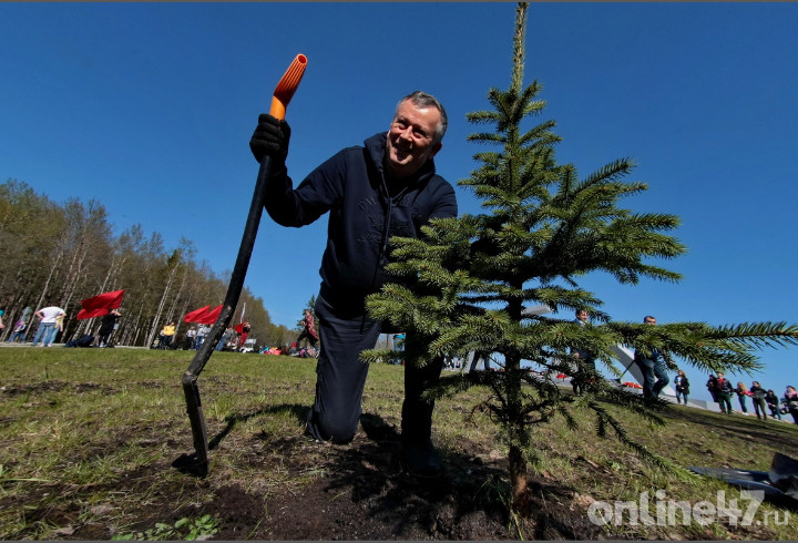 Александр Дрозденко сегодня примет участие в акции «Всероссийский день посадки леса»