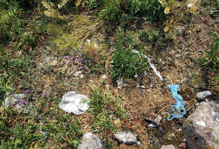В Нижне-Свирском заповеднике призвали отдыхающих убирать за собой мусор