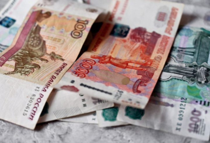 Лжеполицейский похитил у пенсионерки из Соснового Бора почти 2 млн рублей