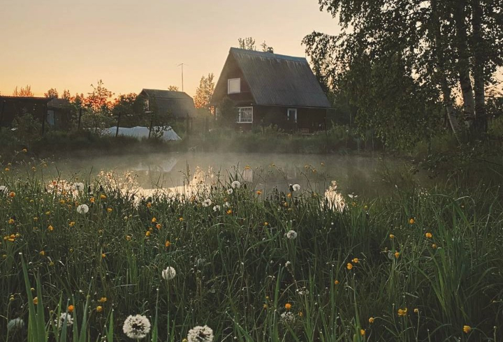 Жителей Ленобласти восхитили фото утреннего пейзажа региона