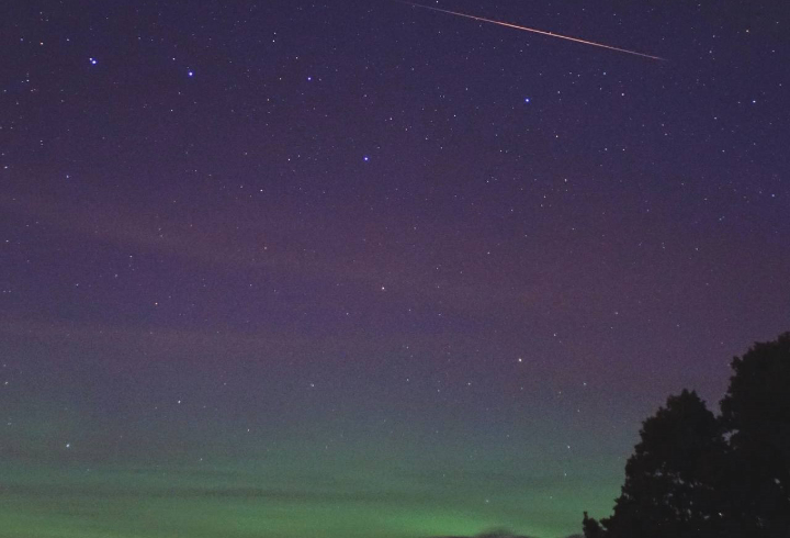 Над Ириновским дубом в Ленобласти запечатлели северное сияние и метеор