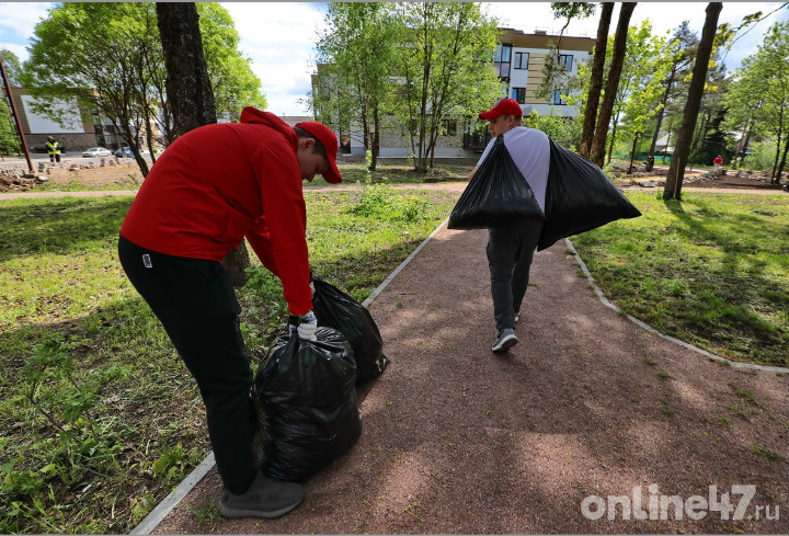 Активисты из НКО Ленобласти собрали более 50 мешков мусора в Сосновом Бору
