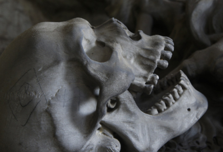 Жительница Гатчины нашла скелет человека в заброшенном сарае