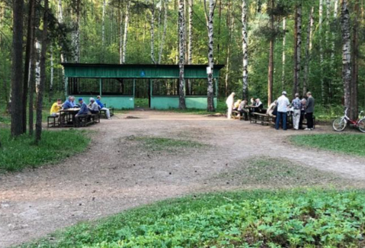 В Петербурге к следующему лето приведут в порядок парк «Сосновка»