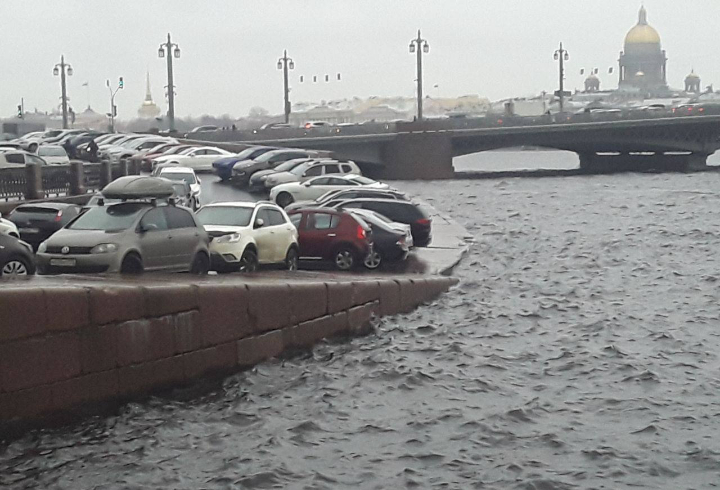 Бушующий ветер вынудил спасателей Петербурга совершить более 40 выездов за день