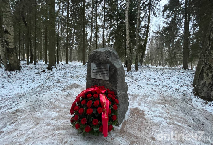 Памятник жертвам в гатчине. Мемориал жертвам нацизма в Гатчине. Гатчина новый памятник жертвам. Памятник жертвам нацистского геноцида в Гатчине.