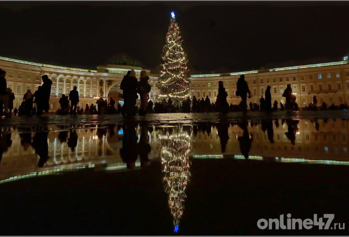 Планетарий и зоопарк Петербурга ждут гостей в новогодние праздники